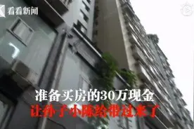 30万元现金被孙子放电梯运上楼 爷爷一开门钱袋不翼而飞了图片