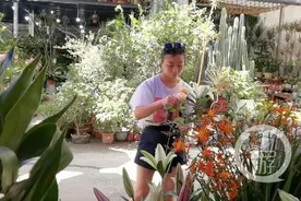 到熊婆婆的花园，体验夏天的味道图片
