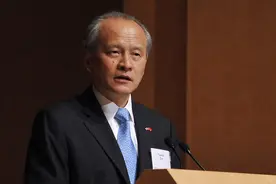 2020年，中国驻外大使们如何为国发声图片