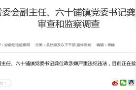 颍上县人大常委会副主任、六十铺镇党委书记龚仕政接受审查调查图片