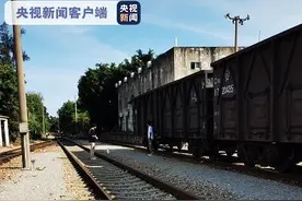 铁轨上摆拍火车被迫急刹，3名大学生被依法处罚图片