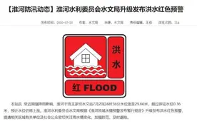 淮河发布洪水红色预警 时隔13年王家坝再开闸图片