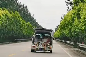 30秒｜心真大！冠县一面包车省道上超员行驶，后备箱大敞“遛”着4个娃图片