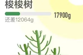你起早贪黑种下的梭梭树，原来长这个样子图片