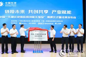中国—东盟区块链应用创新实验室在南宁揭牌图片