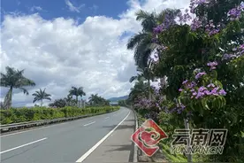 昆磨高速普洱至景洪段路景交融变身“美丽公路”图片