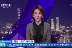 警惕！“95”号段诈骗，有人接完电话被骗走近30万元...背后牵出一条“灰色产业链”图片