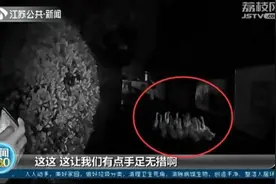宿迁：一群大白鹅任性“离家出走”民警喊话快来派出所认领图片