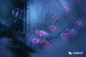 今晚，我只想做你的心上人（诗歌）图片