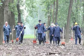 守护2117米堤坝！武汉商学院突击队冲在防汛一线图片
