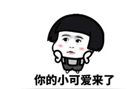 稀客来访！胶州湾红岛附近海域现神秘动物，专家怀疑是只北海狮图片
