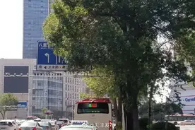 南京路血研所门前标志牌恢复清晰图片