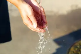 一课译词：金盆洗手图片