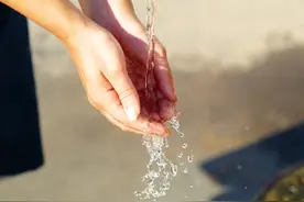 一课译词：金盆洗手图片