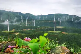 我国南方最大高山风电场群投运图片