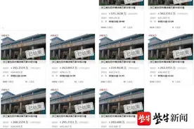 9套别墅一次性拍卖，后疫情时期连云港开发区法院网络司法拍卖的“裂变”图片