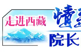 穿越喜马拉雅的守望｜“走进西藏 情系昂仁”之院长日记（14）图片