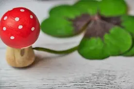 夜读 | 你必须很努力，才会遇到好运气图片