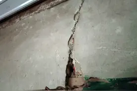 云南澜沧发生4.1级地震 未造成人员伤亡图片