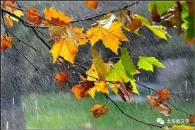 秋雨，是一种心情（诗歌）图片