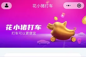 新品牌“花小猪”即将上线 滴滴瞄准下沉市场图片
