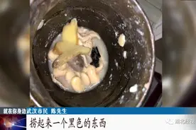 恶心！肚片汤里吃出整只蝙蝠，消费者：我们已经吃了三天图片