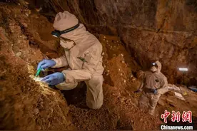 国际最新研究：人类3万年前就在北美洲居住图片