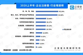 企查查疫情企业发展半年报：“保民生”见成效 这些省份在逆袭图片