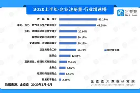 企查查疫情企业发展半年报：“保民生”见成效 这些省份在逆袭图片