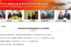 中国驻斯洛伐克大使馆领事部调整对外办公安排图片