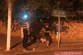 两小时内查处237起、罚款92起！南宁整治不文明养犬频“出招”图片