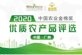 都江堰猕猴桃获2020中国农业“金棉奖”，现在吃正当时！图片