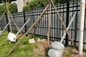 郑州一街头绿地“挑衅”拆墙透绿工程 先竖铁皮围挡再建铁栅栏图片