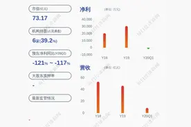上交所对石大胜华及相关责任人员予以监管关注图片
