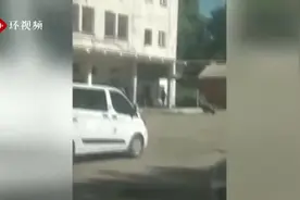 乌克兰劫持警察事件最新！俄媒：当地媒体称嫌疑人驾车挟人质朝首都基辅行驶图片