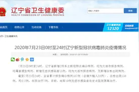 新增2例确诊，大连进入战时状态！辽宁代省长：从严从快遏制疫情扩散蔓延图片