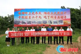 烟台苹果逆市转型：“高 精 尖”领航苹果产业高质量发展图片
