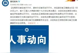 王贺胜卸任湖北卫健委主任职务 此前已任省委常委图片