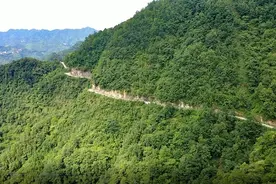王小良返乡脱贫记图片