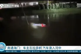 大意不得！女车主忘拉手刹 汽车滑入河中图片
