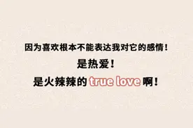 我突然不喜欢广州了？？图片