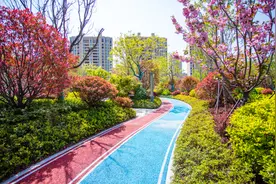 从白鹭金岸看房价预期，临沂买房没有高位站岗之说，该买就买图片