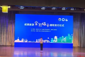 “金熊猫卡”首次在成都外发行！成德眉资文旅同城有了新进展图片