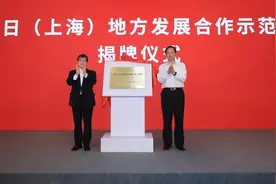 临港新片区揭牌中日地方发展合作示范区，将发展氢能产业图片