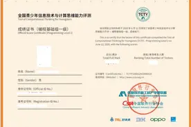 青少年能力评测：为中小学生普及编程能力图片