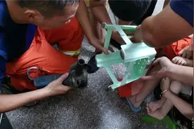 警惕！幼童手指被"吃",这种东西很多人家里都有！严重可导致截肢…图片