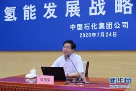 柴茂荣：氢能社会与燃料电池技术应用的展望图片