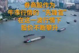 资本"狂人"刘益谦再度大手笔增持视频封面