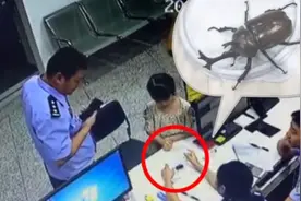 小女孩到派出所说捡到“小怪兽”，一查是国家保护动物视频封面