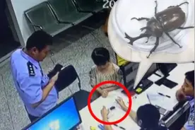 小女孩到派出所说捡到“小怪兽”，一查是国家保护动物视频封面